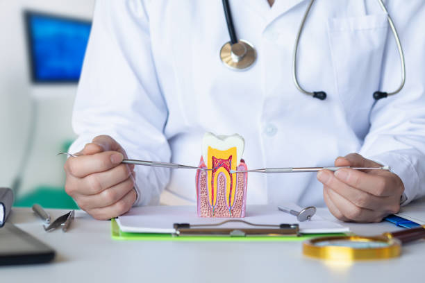 Best After-Hours Dental Care in Fishhook, AK